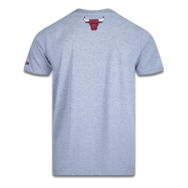 Camiseta Regular Manga Curta Chicago Bulls Street Life Street Court