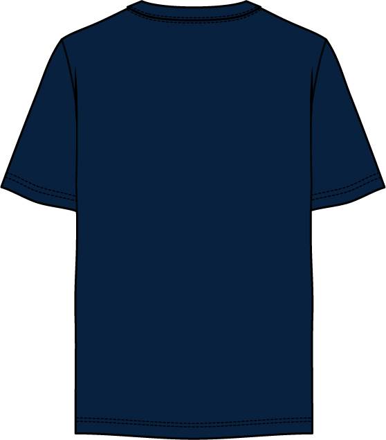 Camiseta New England Patriots NFL