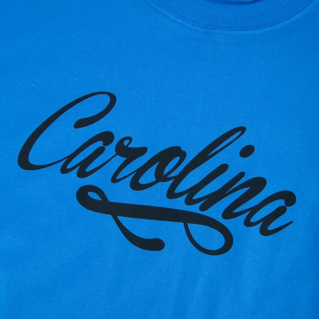 Camiseta Regular Manga Curta Carolina Panthers Core Go Team