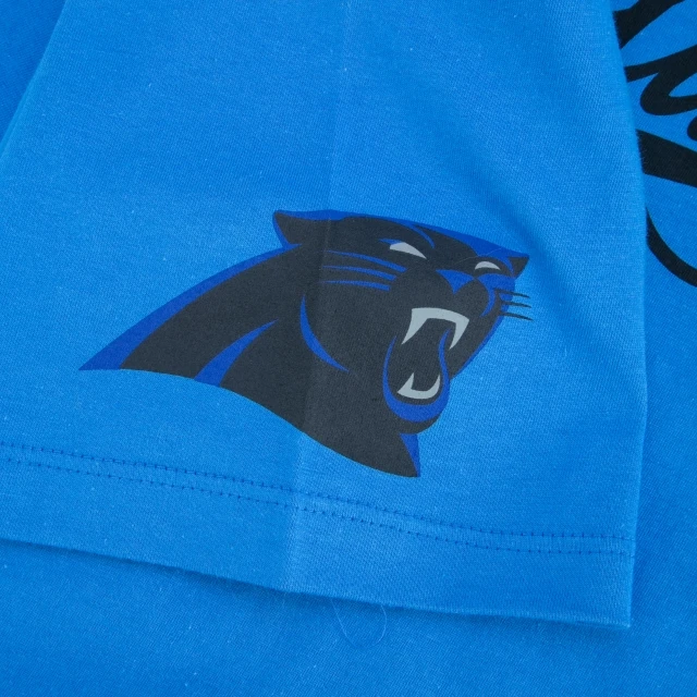 Camiseta Regular Manga Curta Carolina Panthers Core Go Team