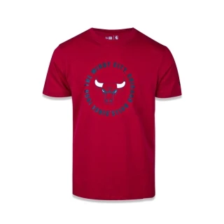 Camiseta Manga Curta NBA Chicago Bulls College Team Circle
